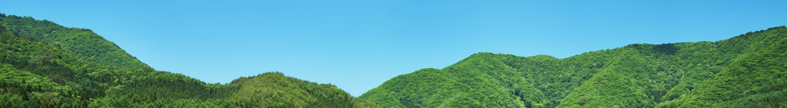 損保代理店用お問合せフォーム